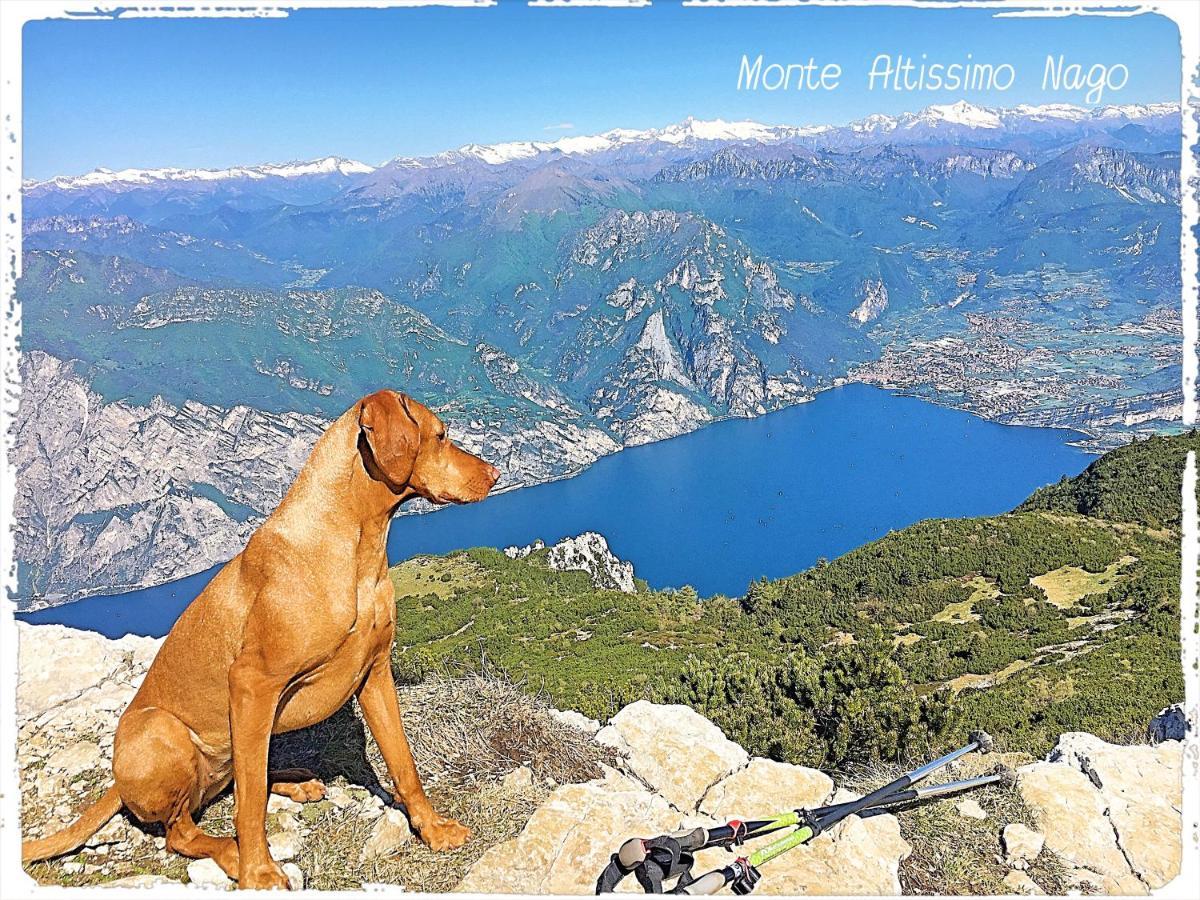 Viewlake Apartment Torbole Sul Garda Extérieur photo